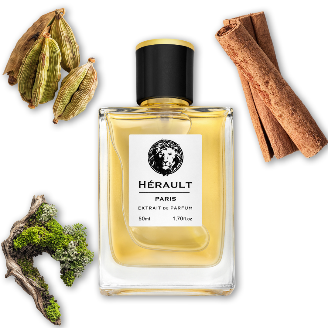 X mystère pour homme № 205