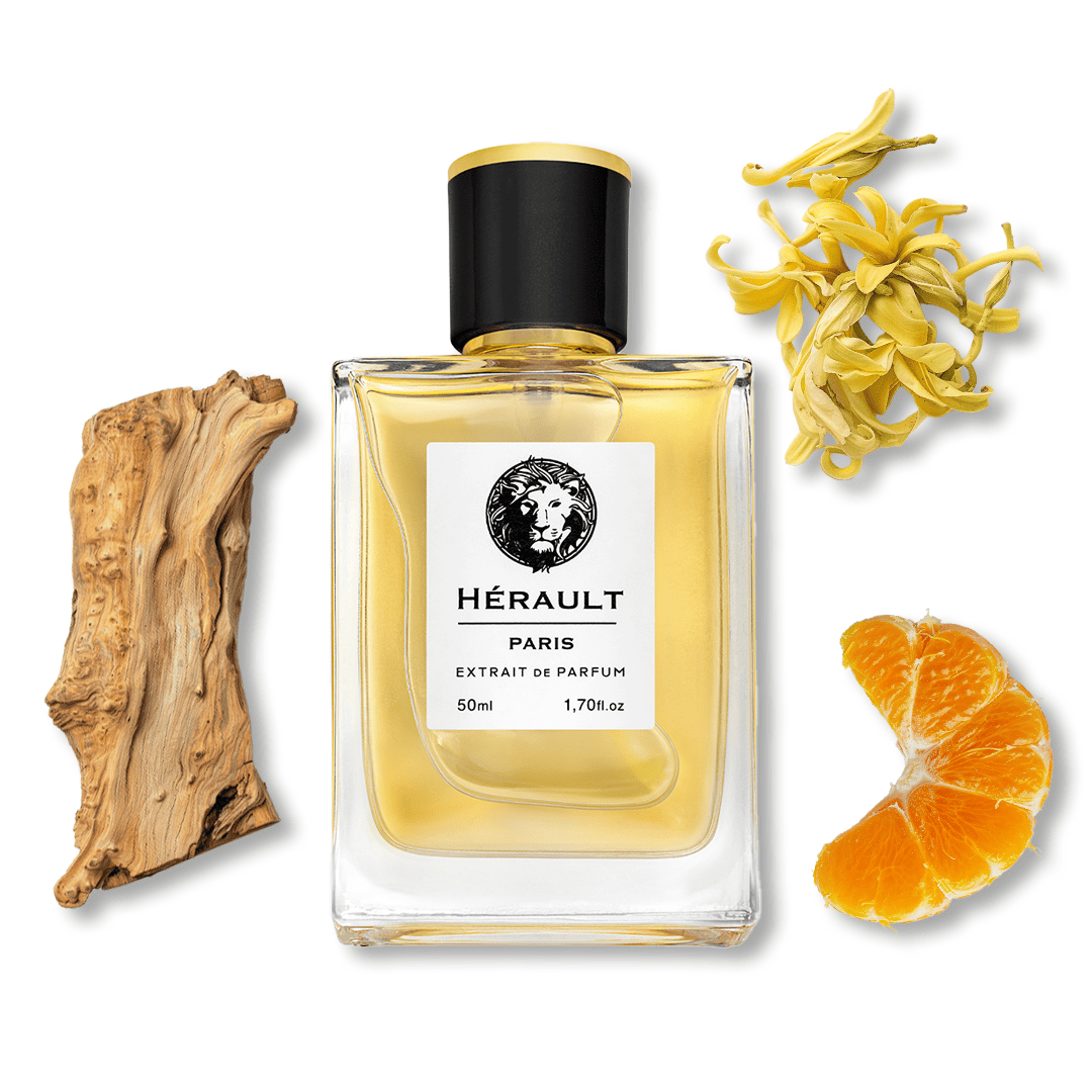 Dafodil de L'Océan №21