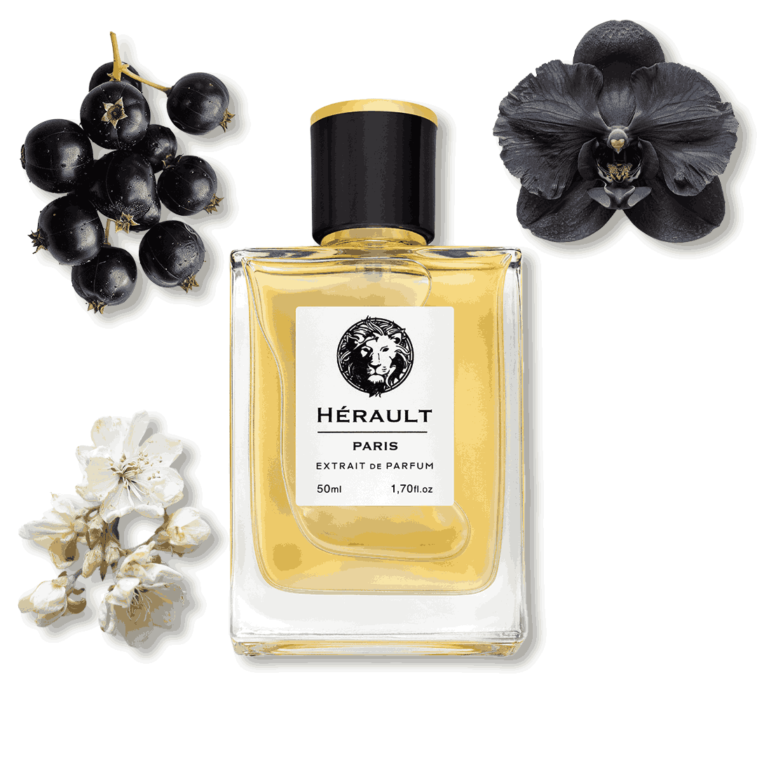 Orchidé Noire № 52